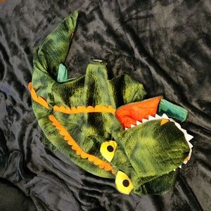 Dog costume